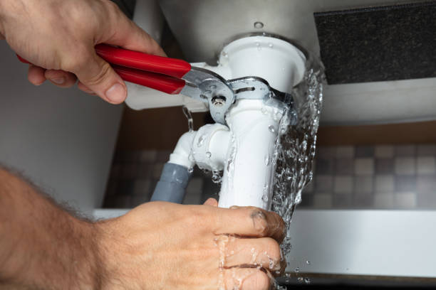 Best Flood damage cleanup  in Tolleson, AZ