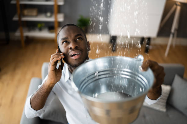 Best Basement water damage restoration  in Tolleson, AZ