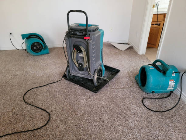 Water damage restoration mold remediation in AZ