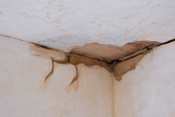  Tolleson, AZ Water damage restoration Pros