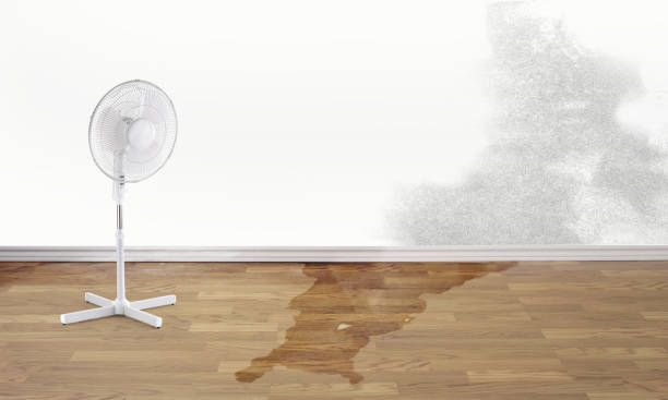 Best Carpet water damage restoration  in Tolleson, AZ