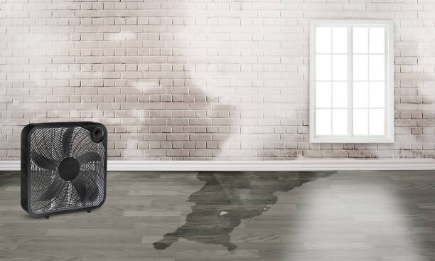 Best Residential water damage restoration  in Tolleson, AZ