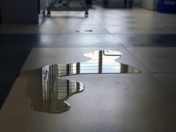 Best Water damage contractors near me  in Tolleson, AZ