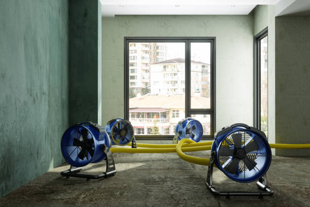 Carpet water damage restoration in AZ