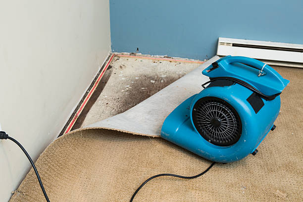 Best Water damage restoration near me  in Tolleson, AZ